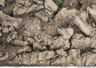 Ground Soil